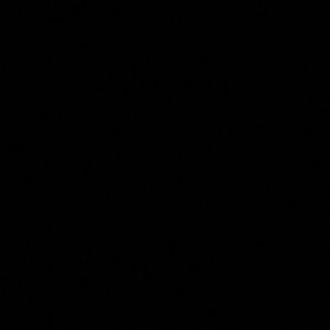 Meet your Posher, Erik